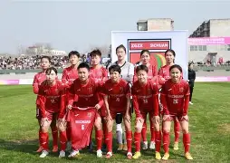 热门女足比赛选手频频受伤，球迷担忧的简单介绍