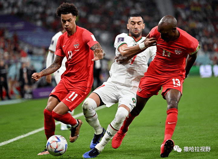 九州娱乐平台-摩洛哥篮球联赛积分榜异军突起，拉巴特队展现实力(土耳其篮球联赛积分榜)