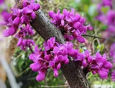 关于忻州紫荆花客场收获三分，晋级积分榜的信息