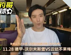 沃尔夫斯堡客场不敌云达不莱梅,遗憾失利的简单介绍 沃尔夫斯堡客场不敌云达不莱梅,遗憾失利的简单介绍